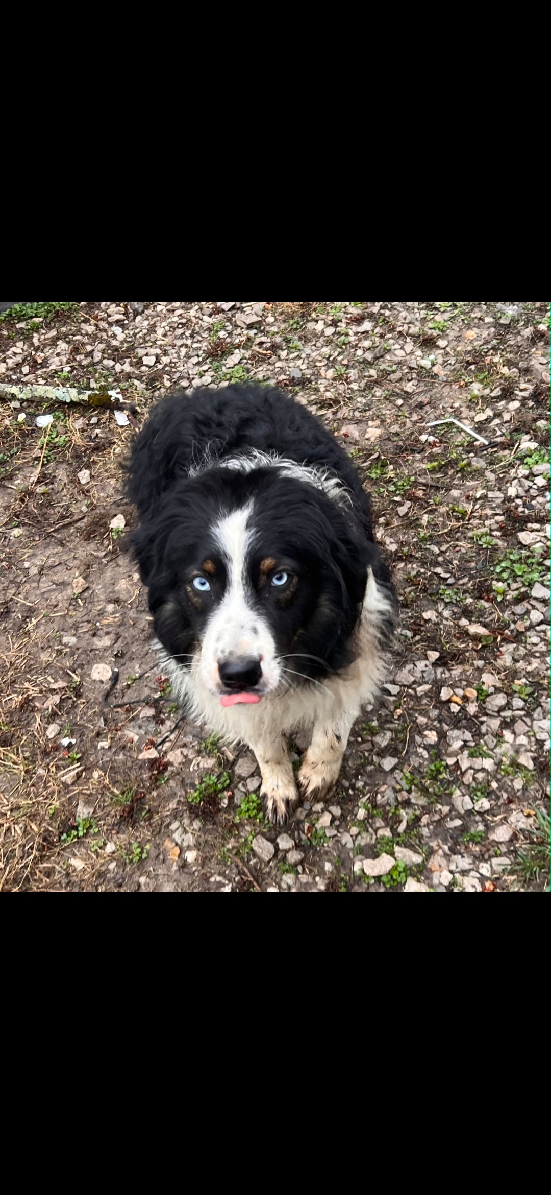 Screenshot_20251111_182719_Messages