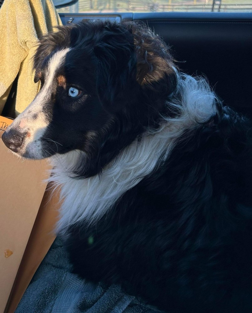 Screenshot_20251111_182809_Messages